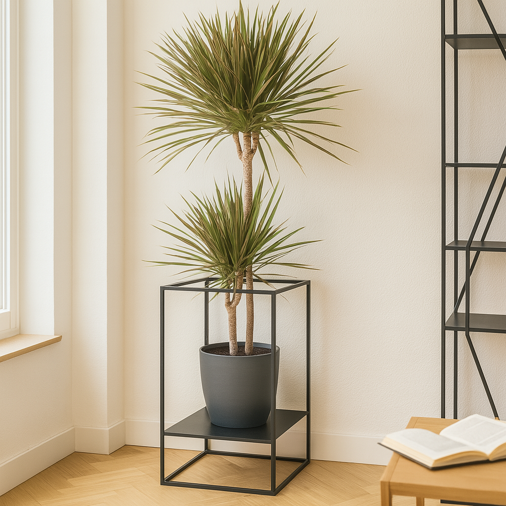 PlantBox Porta vaso in acciaio verniciato