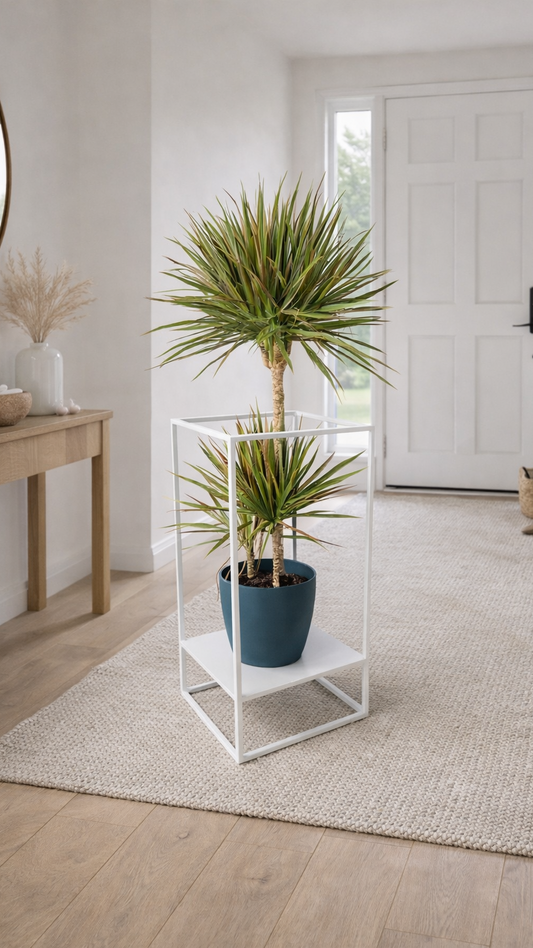 “Quadra Verde”  Porta Piante