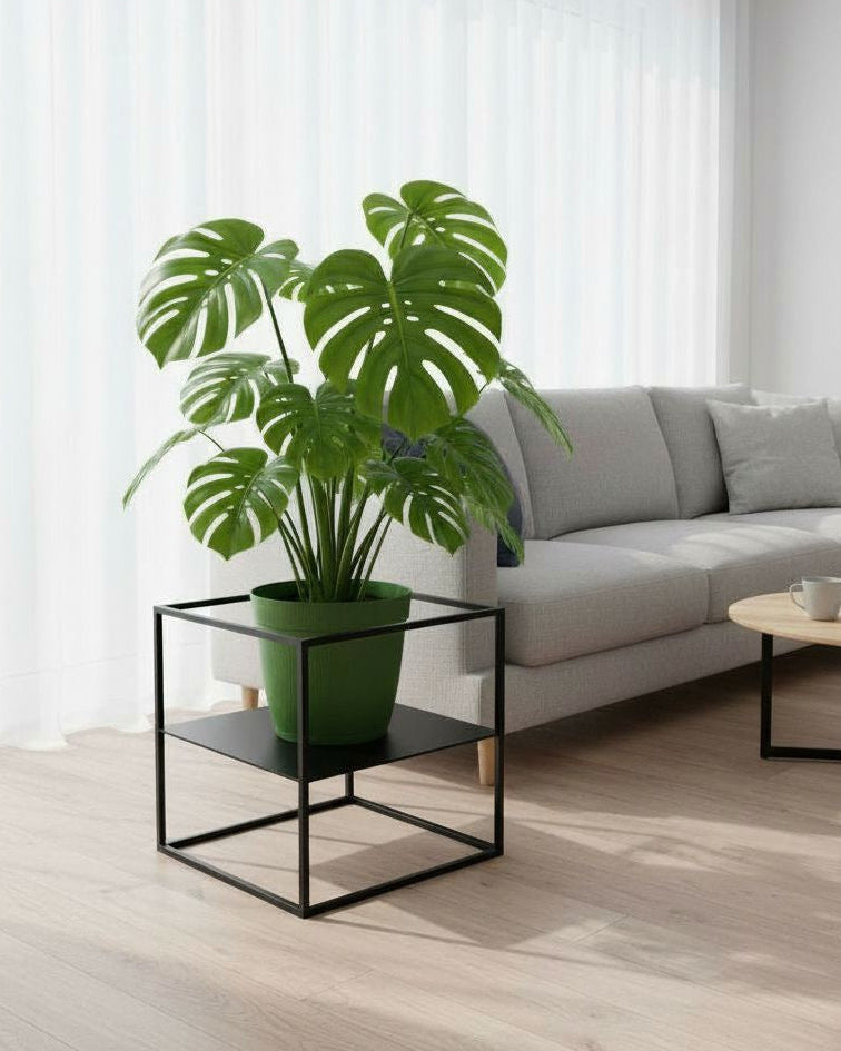 “Nodo” Porta vaso