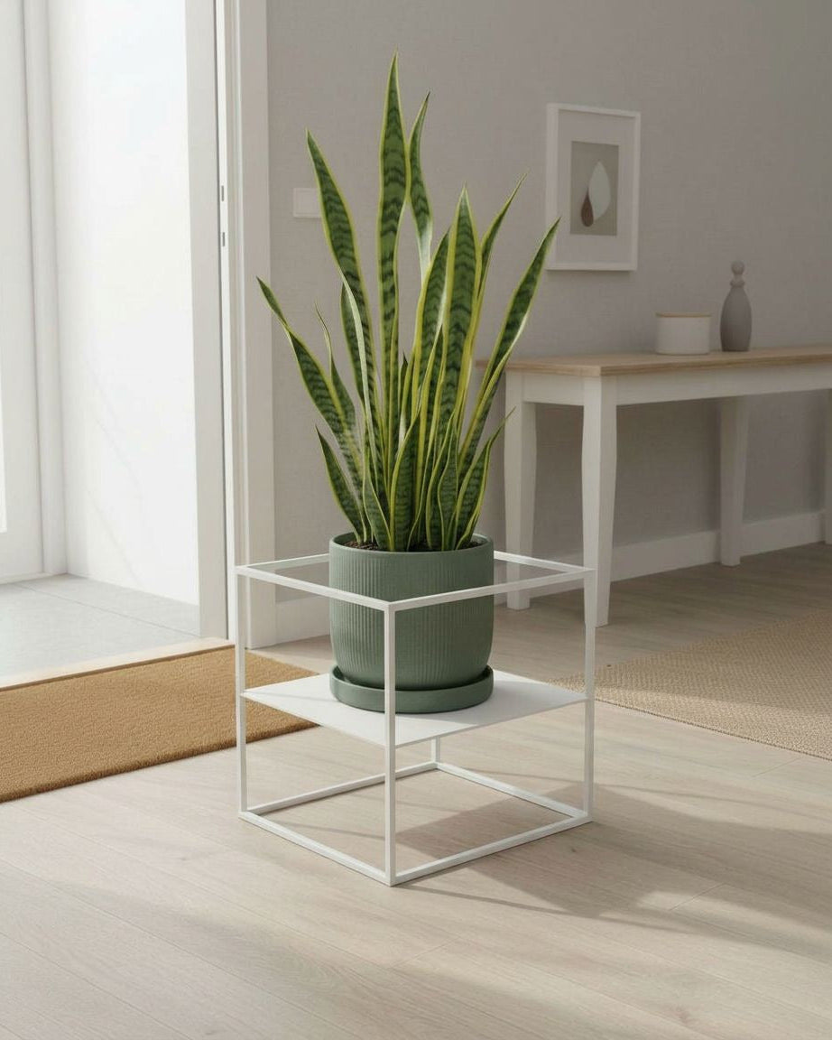 “Nodo” Porta vaso